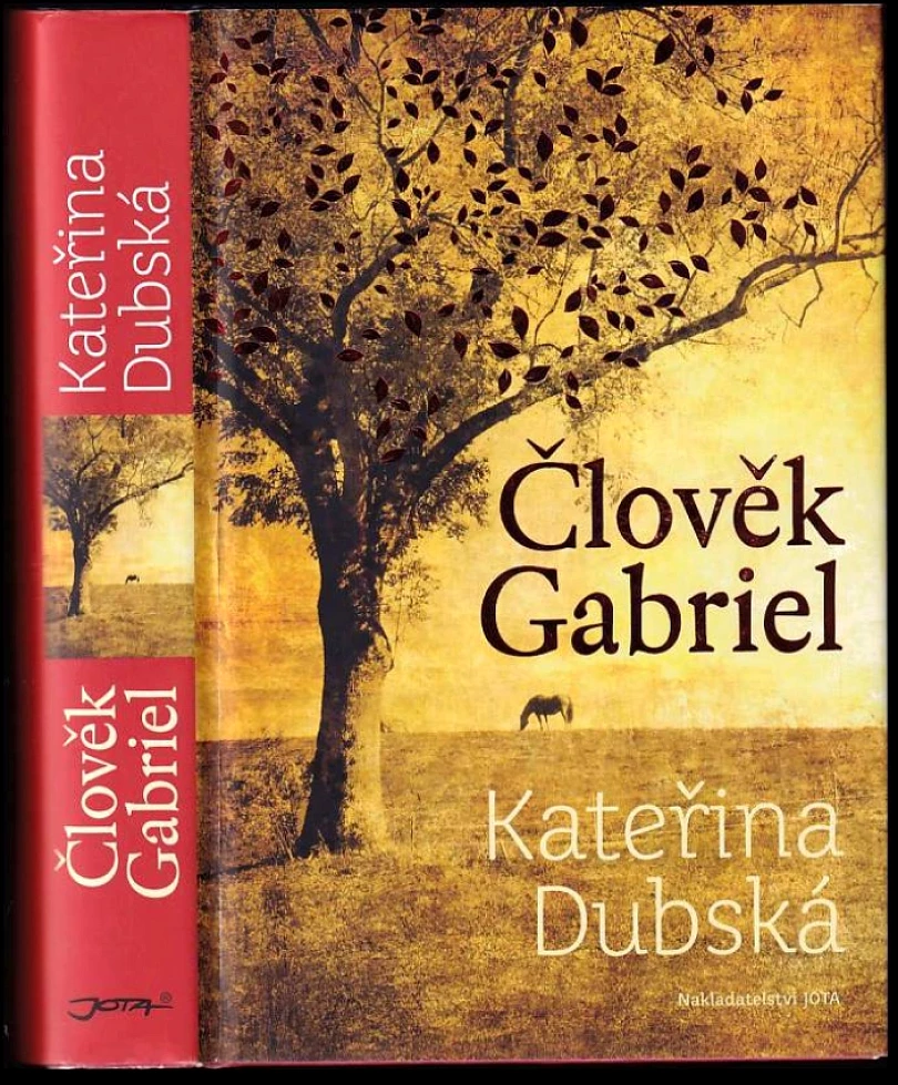 Člověk Gabriel (Kateřina Dubská, 2013)
