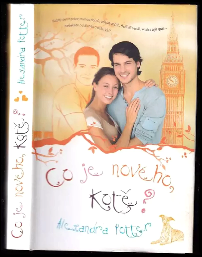 Levně Co je nového, kotě? (Alexandra Potter, 2013)