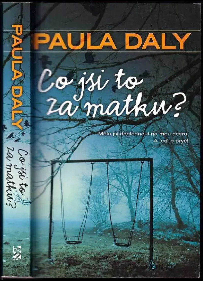 Levně Co jsi to za matku? (Paula Daly, 2019)