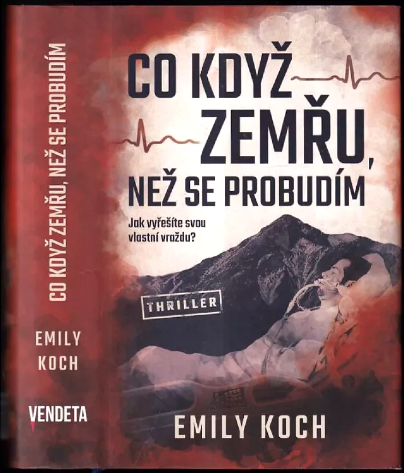 Levně Co když zemřu, než se probudím (Emily Koch, 2019)