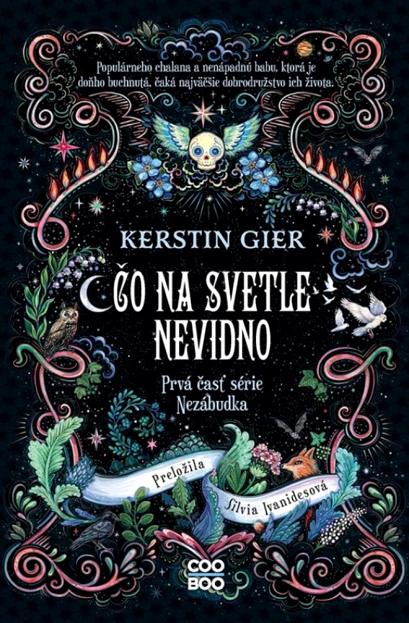 Levně Čo na svetle nevidno (Gier Kerstin, 2023)