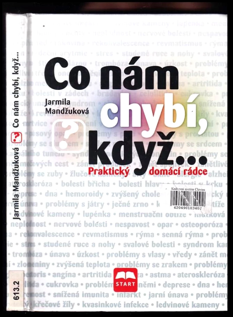 Co nám chybí, když-- (Jarmila Mandžuková, 2011)