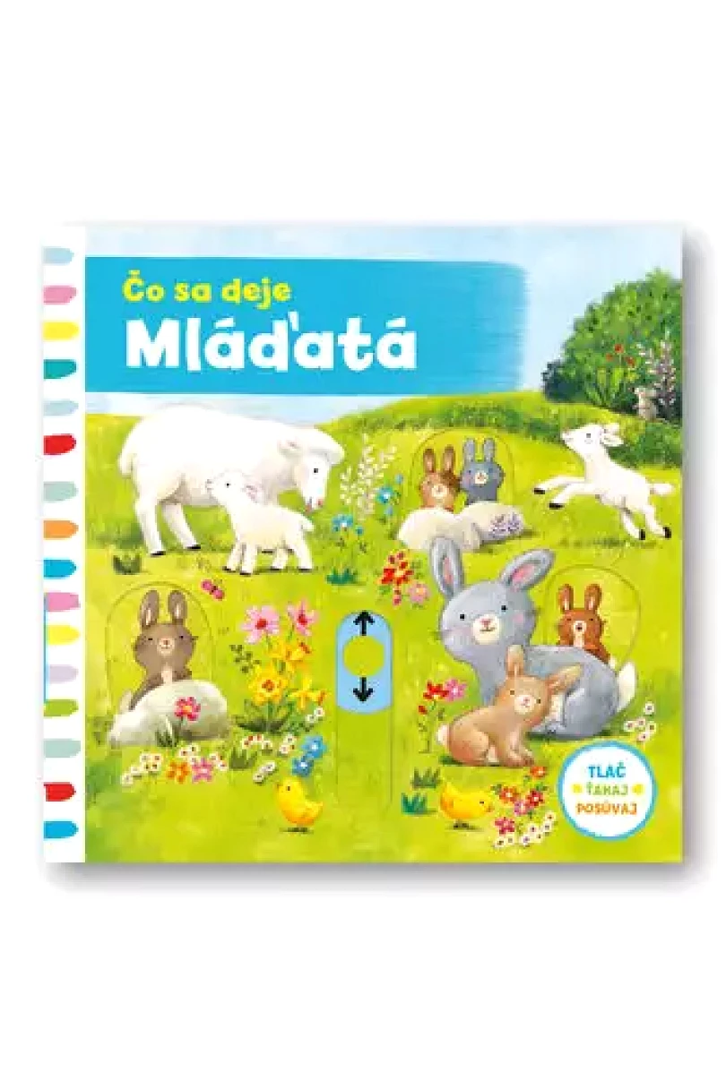 Levně Čo sa deje (Ag Jatkowska, 2018)