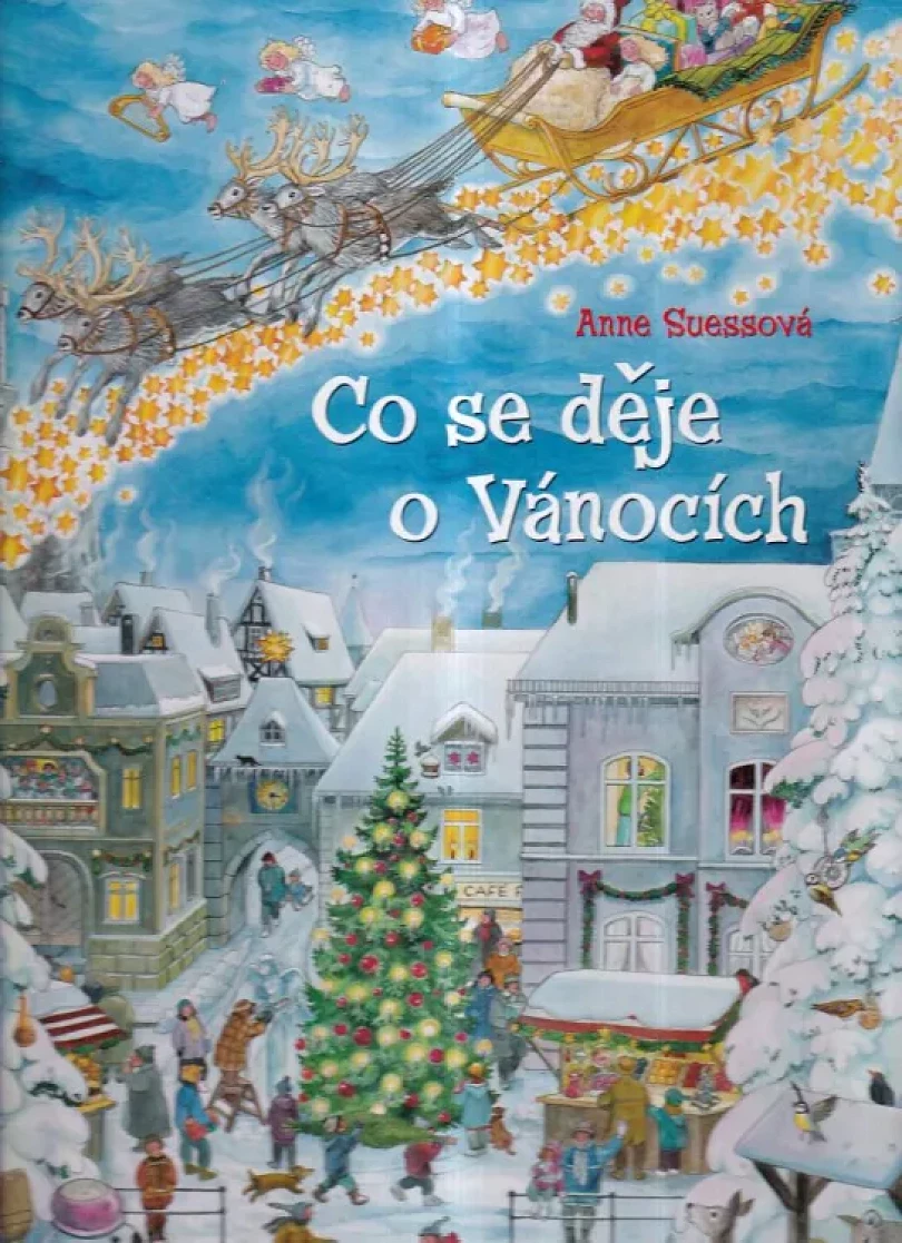 Co se děje o Vánocích (Anne Suess, 2010)