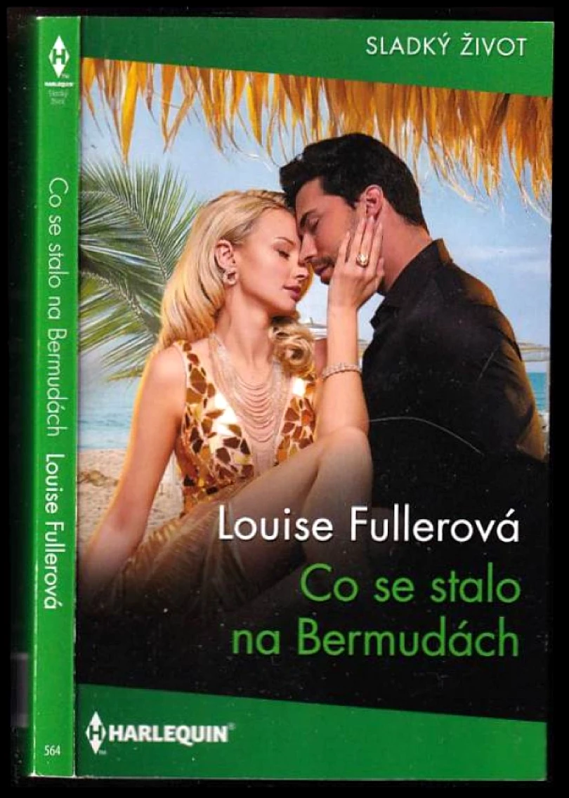 Levně Co se stalo na Bermudách (Louise Fuller, 2025)