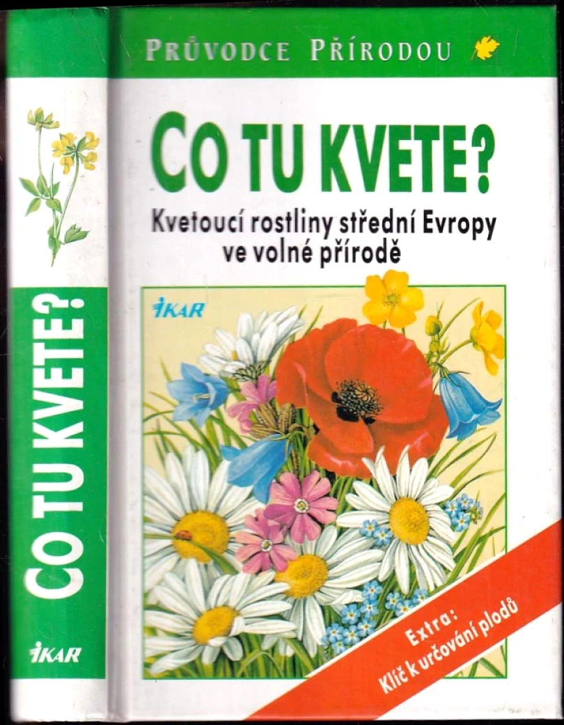 Levně Co tu kvete? (Dietmar Aichele, 1996)
