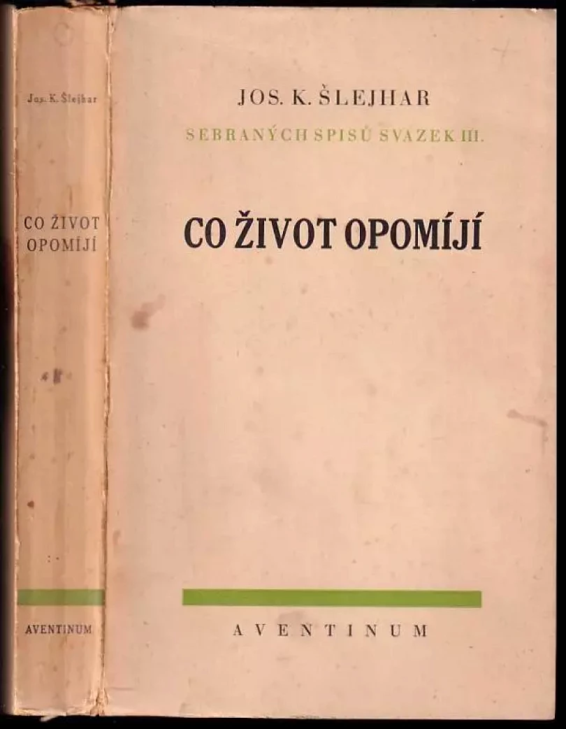 Levně Co život opomíjí (Josef Karel Šlejhar, 1930)
