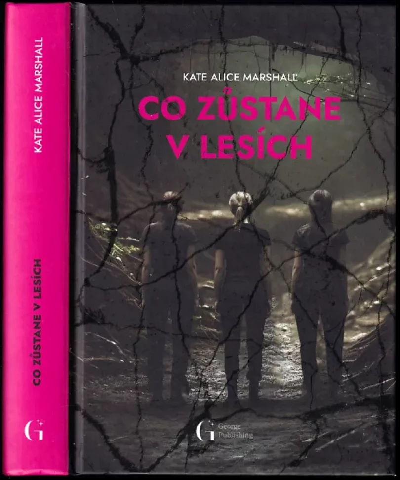 Levně Co zůstane v lesích (Kate Alice Marshall, 2023)