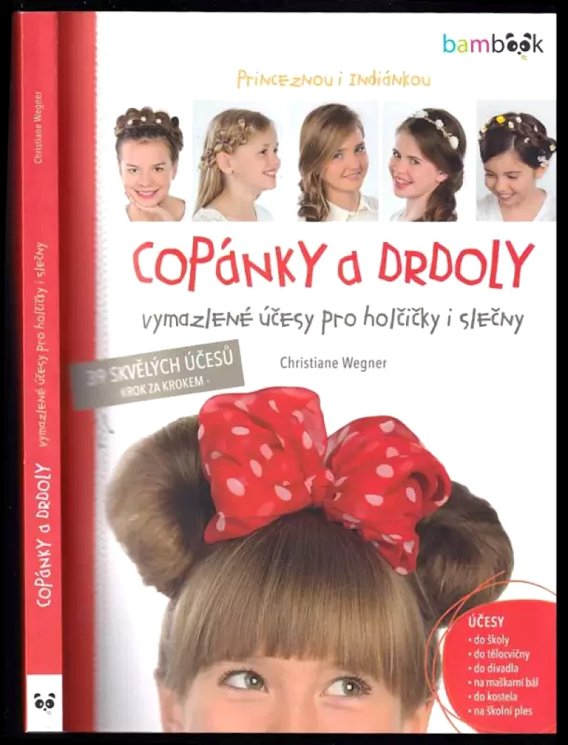 Levně Copánky a drdoly (Christiane Wegner, 2017)