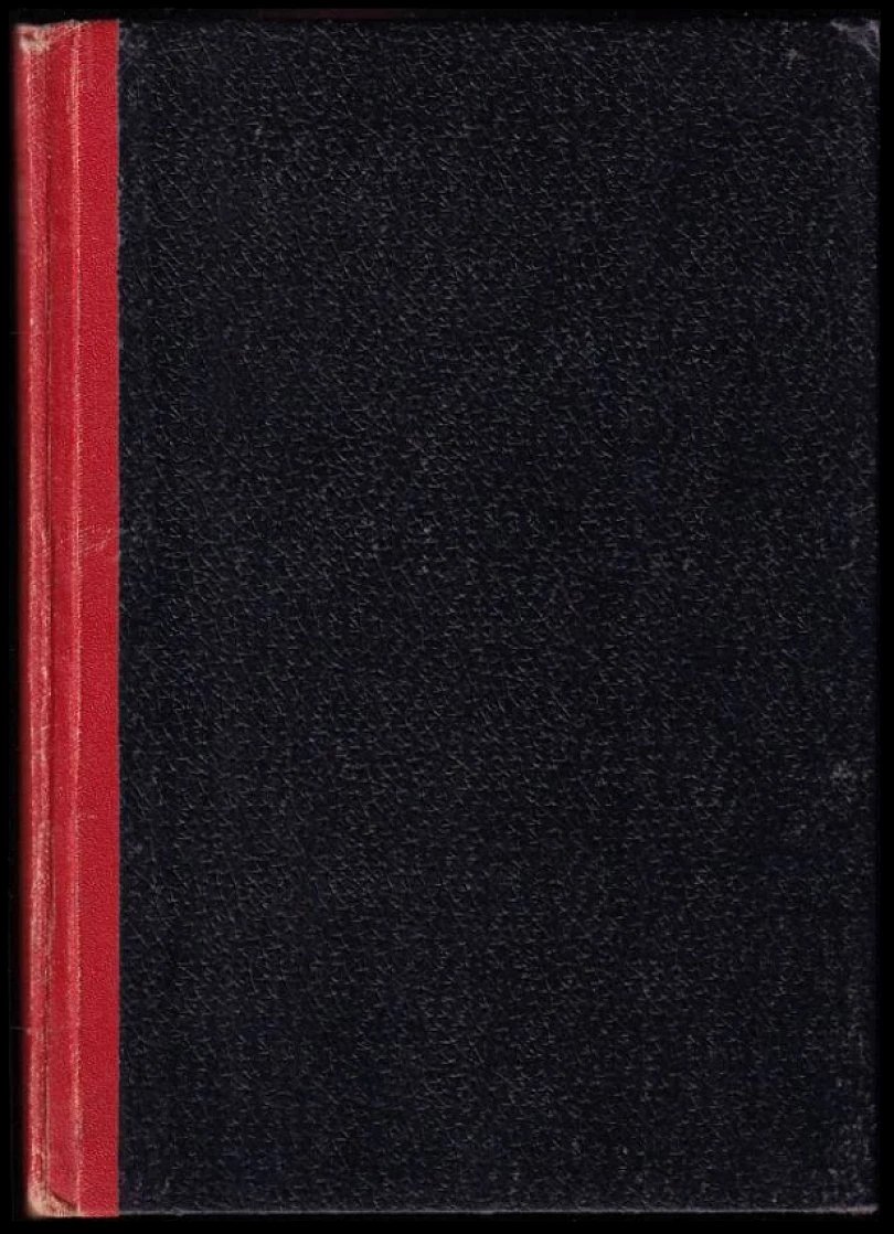 Levně Čuk a Gek (Arkadij Petrovič Gajdar, 1947)