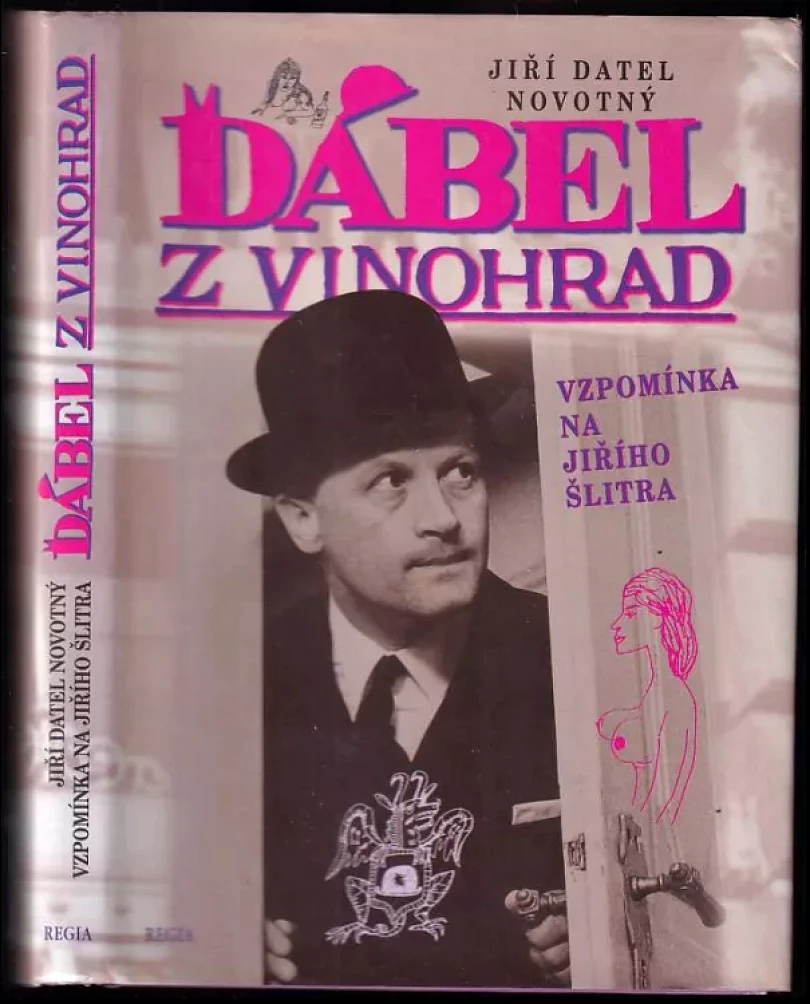 Levně Ďábel z Vinohrad (Jiří Datel Novotný, 2002)