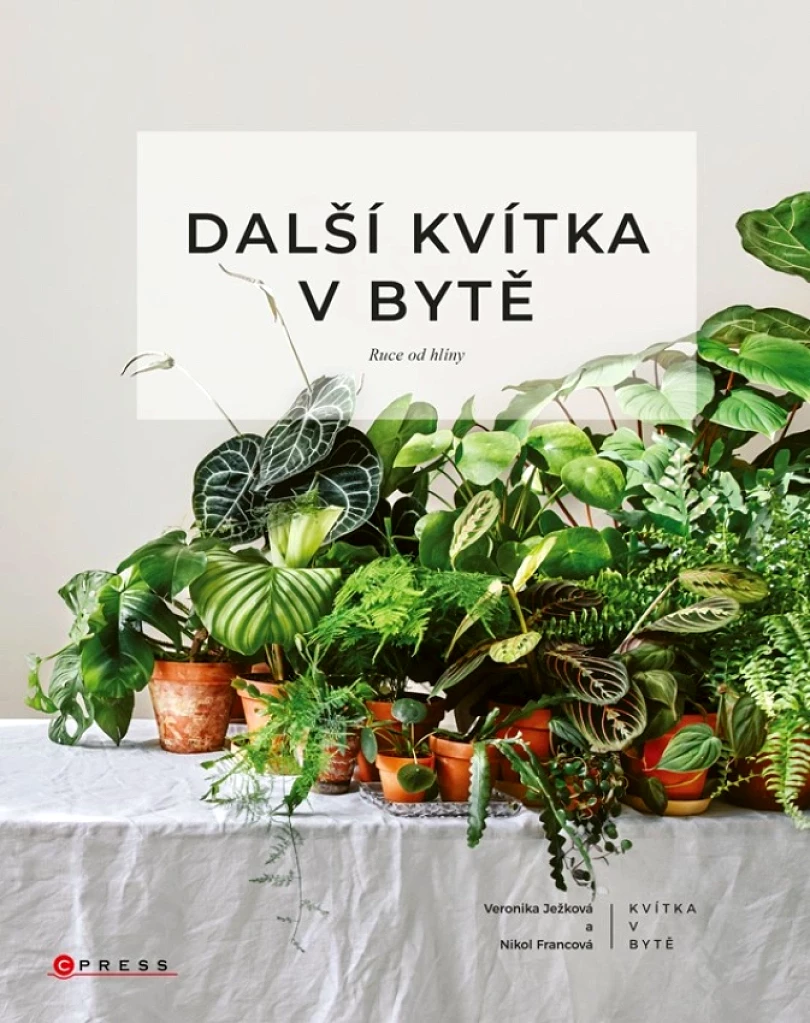 Levně Další kvítka v bytě: Ruce od hlíny (Ježková Veronika, 2021)
