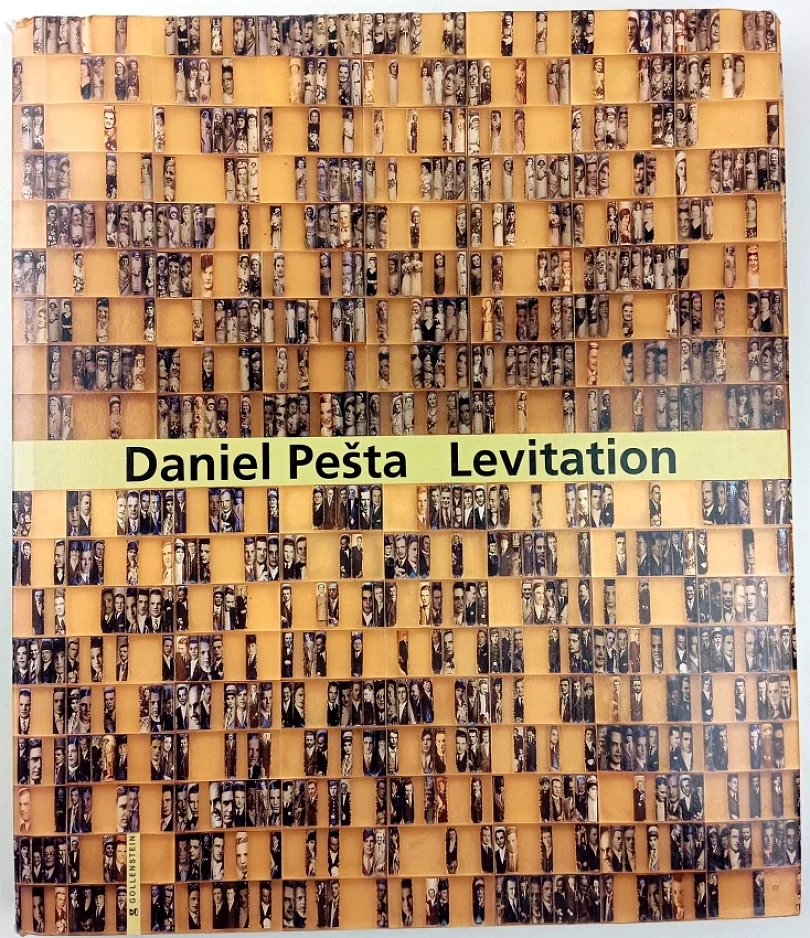 Levně Daniel Pešta (Daniel Pešta, 2010)