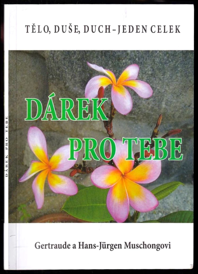 Levně Dárek pro tebe (Gertraude Muschong, 1987)