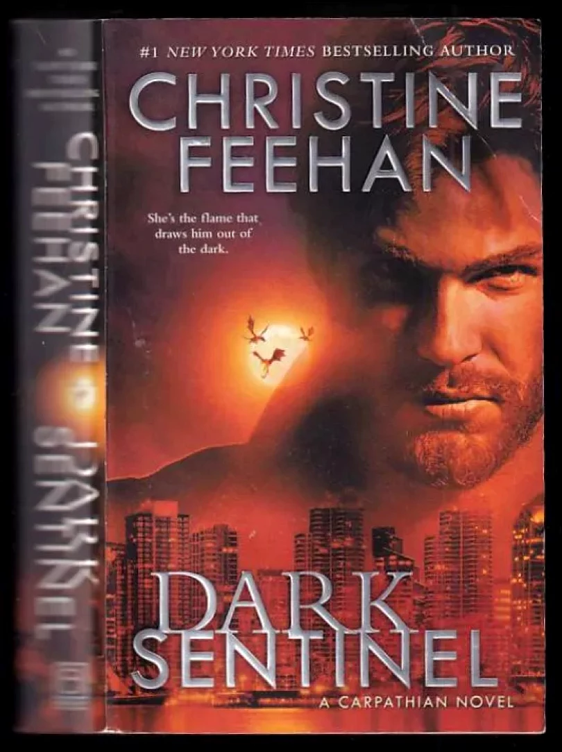 Levně Dark Sentinel (Christine Feehan, 2019)