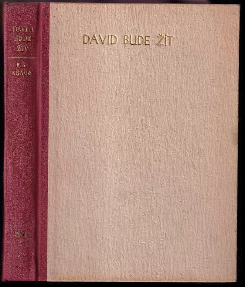 David bude žít (František Robert Kraus, 1949)