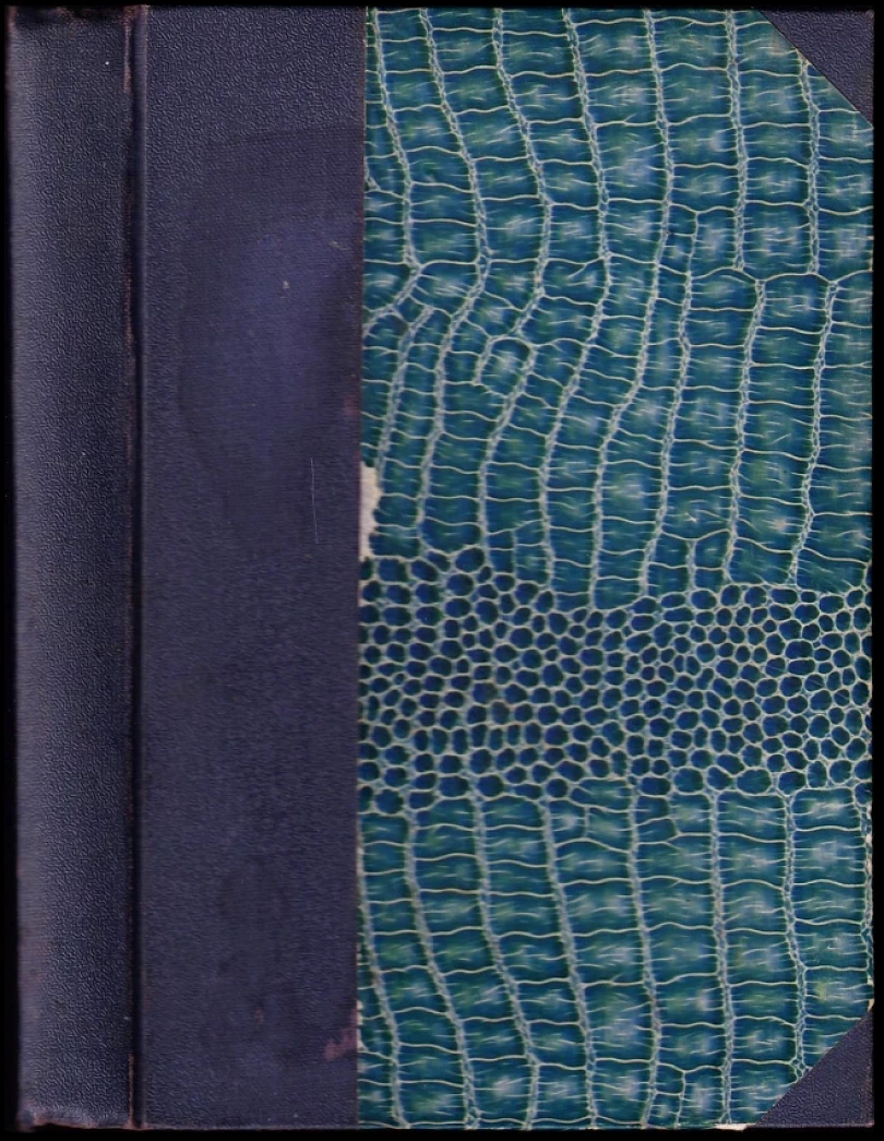 Levně Deník dvou poutníků (Jerome K Jerome, 1925)