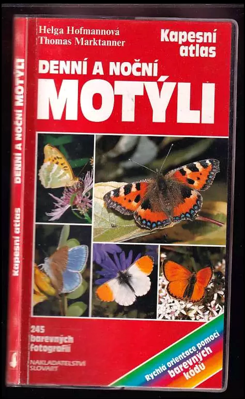 Levně Denní a noční motýli (Helga Hofmann, 1996)