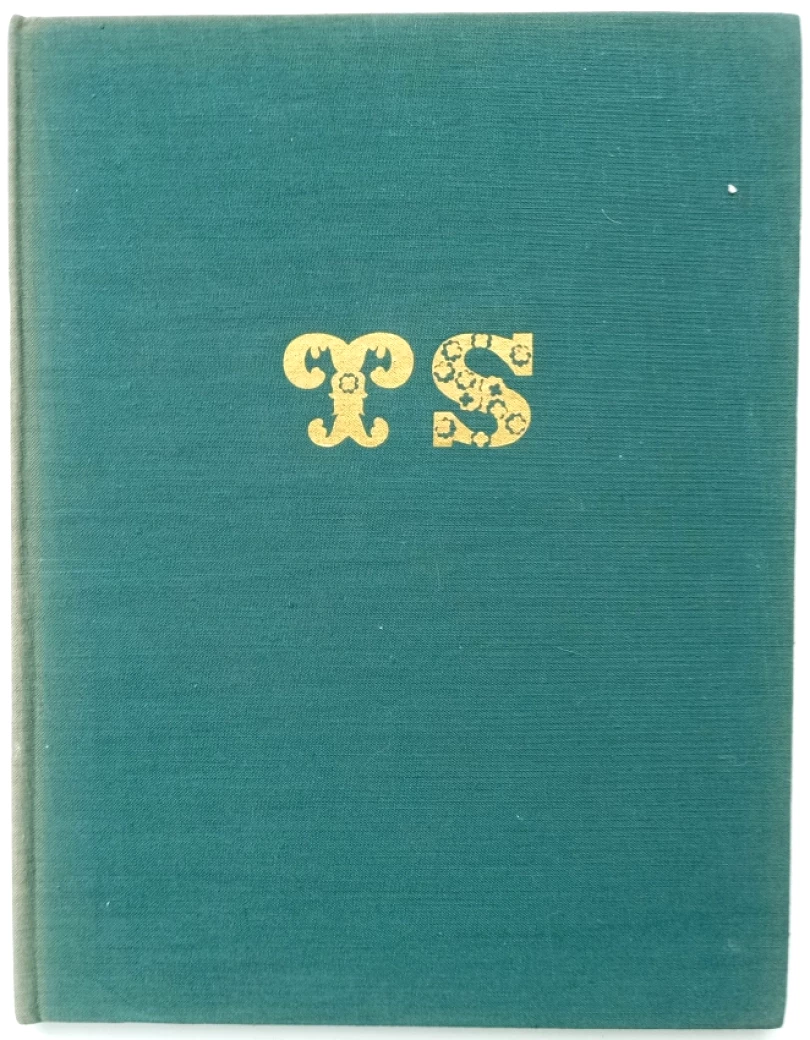 Levně Dešťová víla (Theodor Storm, 1973)