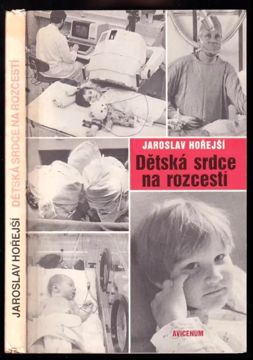 Levně Dětská srdce na rozcestí (Jaroslav Hořejší, 1991)