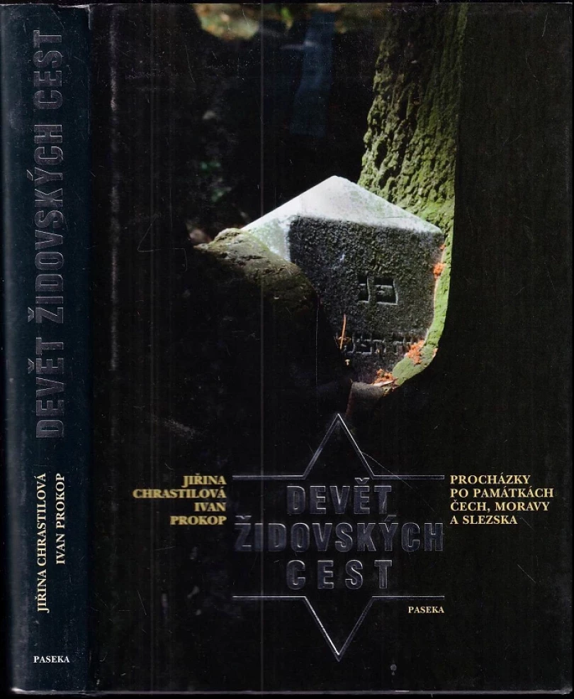 Levně Devět židovských cest (Jiřina Chrastilová, 2008)