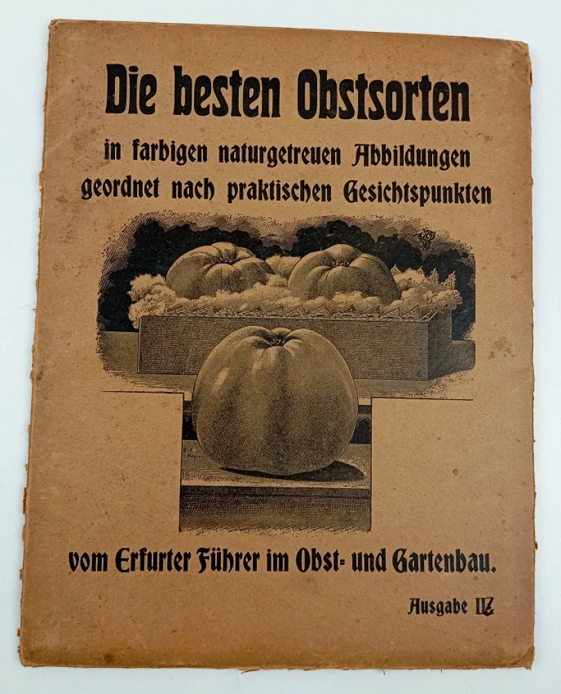Die besten Obstsorten - POUZE 21 LISTŮ (, )