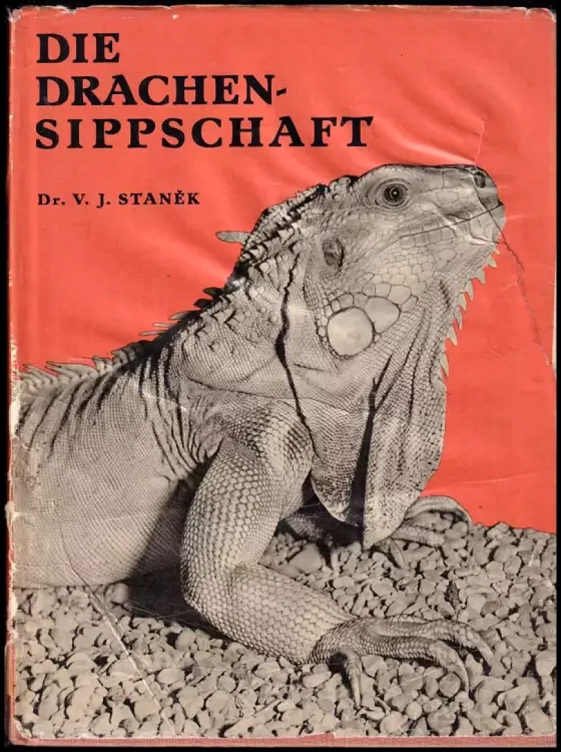 Die Drachensippschaft (Václav Jan Staněk, 1959)