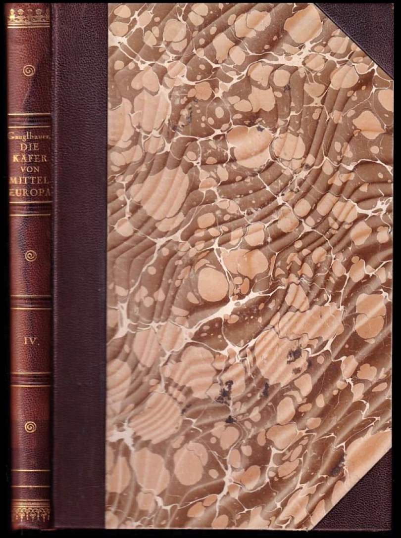 Die Käfer von Mitteleuropa (, 1904)