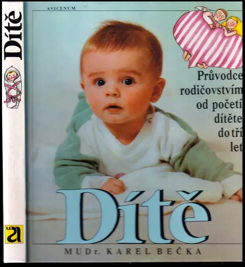 Dítě (Karel Bečka, 1991)
