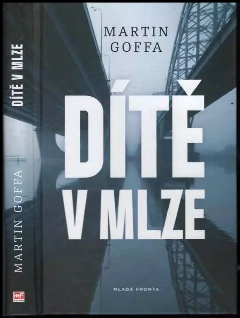 Dítě v mlze (Martin Goffa, 2016)