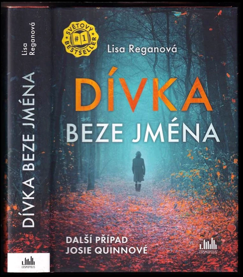 Dívka beze jména (Lisa Regan, 2021)