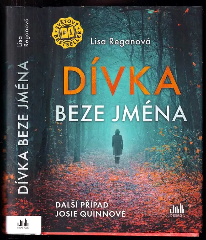 Dívka beze jména (Lisa Regan, 2021)