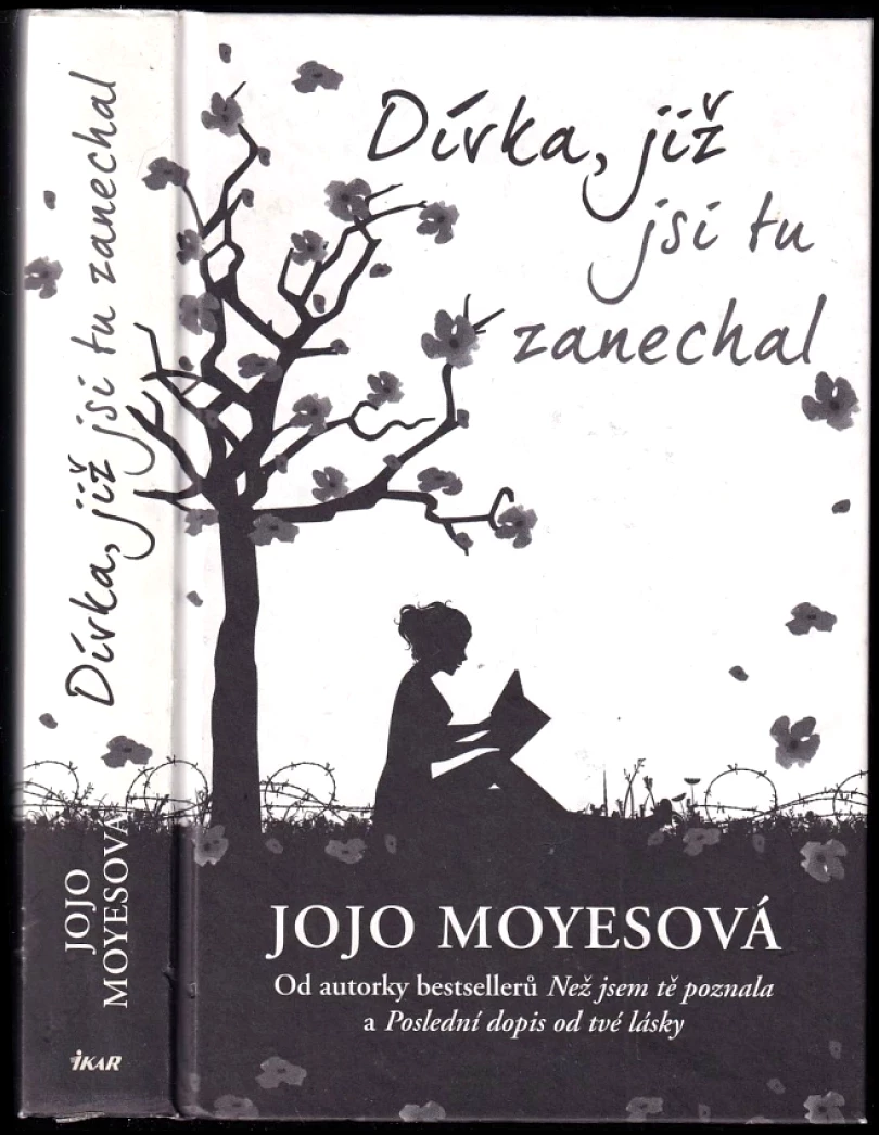 Levně Dívka, již jsi tu zanechal (Jojo Moyes, 2015)