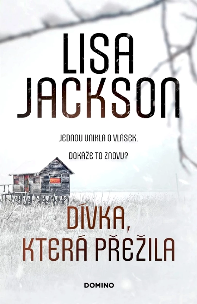 Levně Dívka, která přežila (Lisa Jackson, 2023)