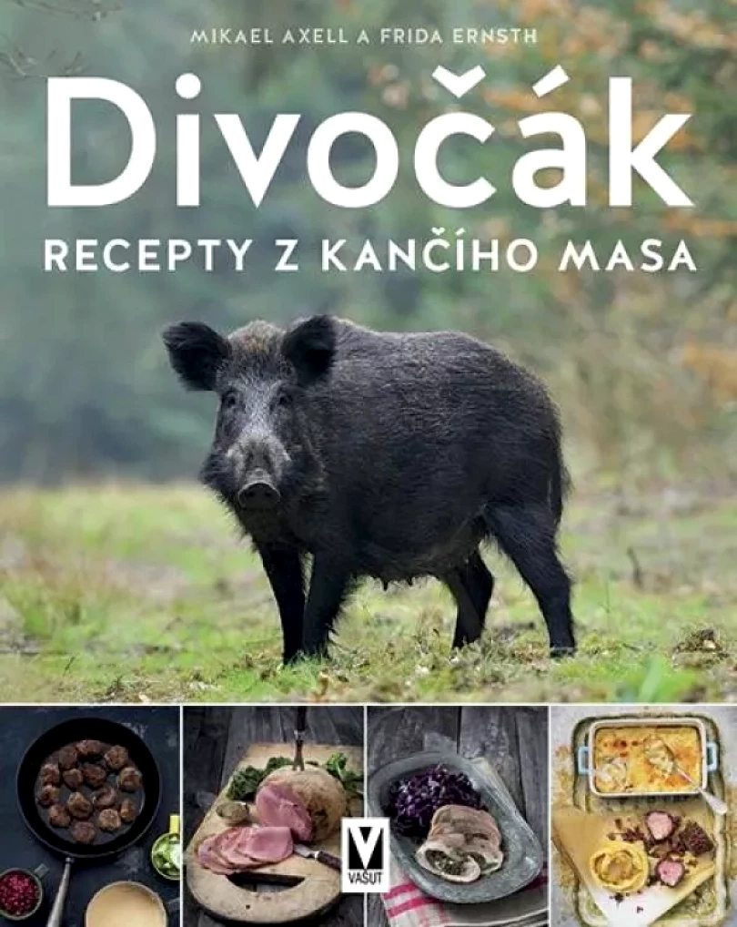 Levně Divočák (Mikael Axell, 2022)