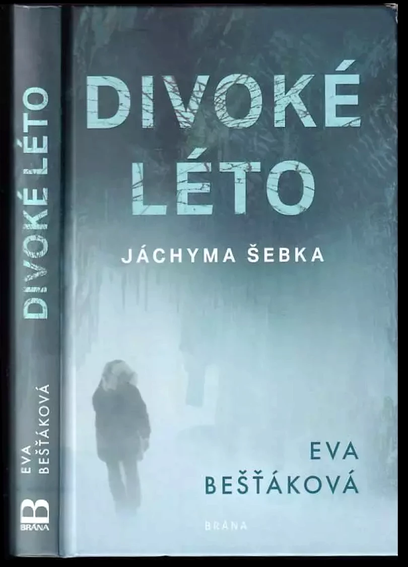Levně Divoké léto Jáchyma Šebka (Eva Bešťáková, 2020)