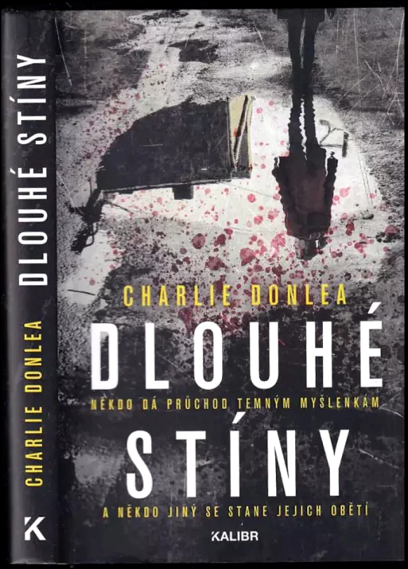 Dlouhé stíny (Charlie Donlea, 2020)