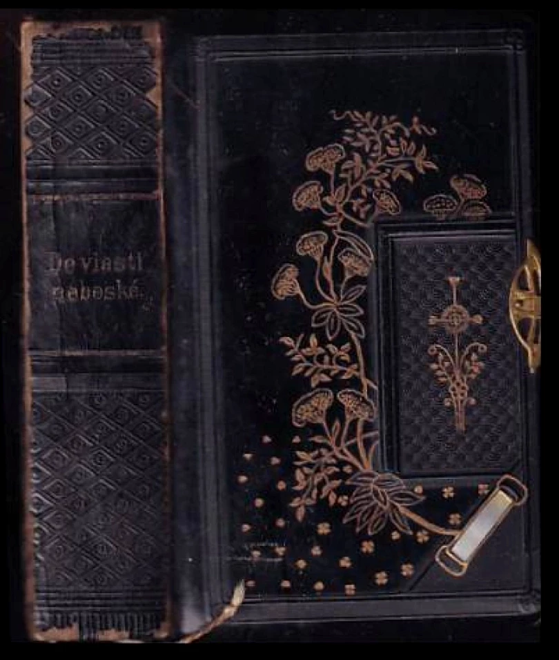 Do vlasti nebeské, anebo, Nebeská brána (Václav Davídek, 1901)