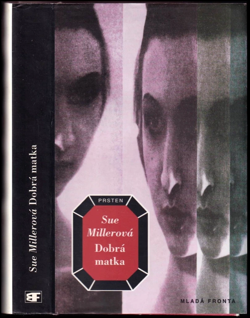 Levně Dobrá matka (Sue Miller, 1995)