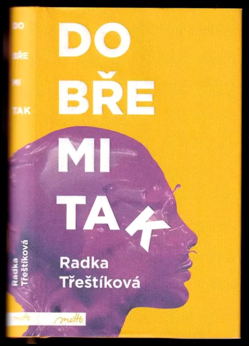 Dobře mi tak (Radka Třeštíková, 2017)