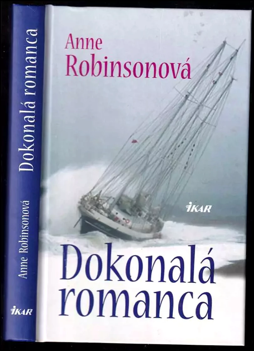 Levně Dokonalá romanca (Sally-Anne Robinson, 2008)