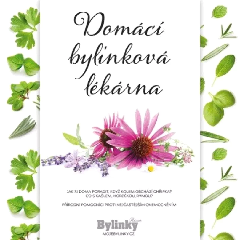 Domácí bylinková lékárna (Aleš Vodička, 2020)