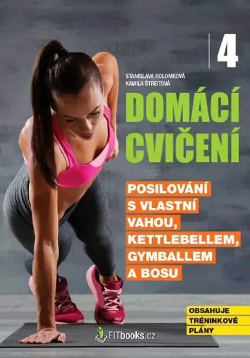 Domácí cvičení 4 (Stanislava Holomková, 2018)