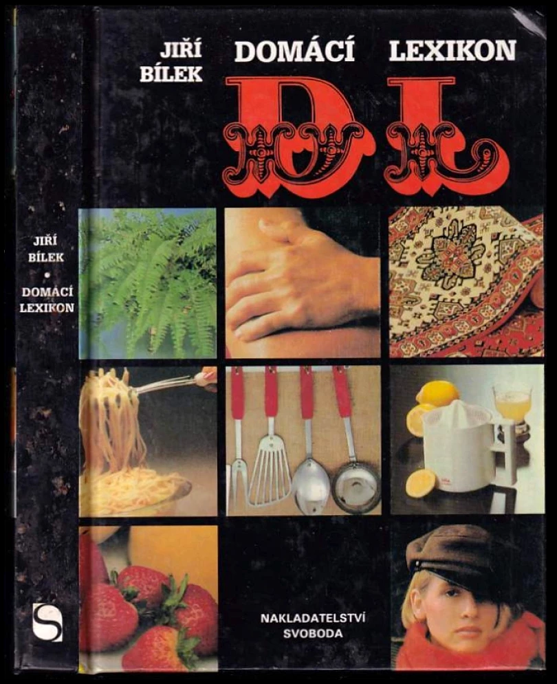 Levně Domácí lexikon (Jiří Bílek, 1994)