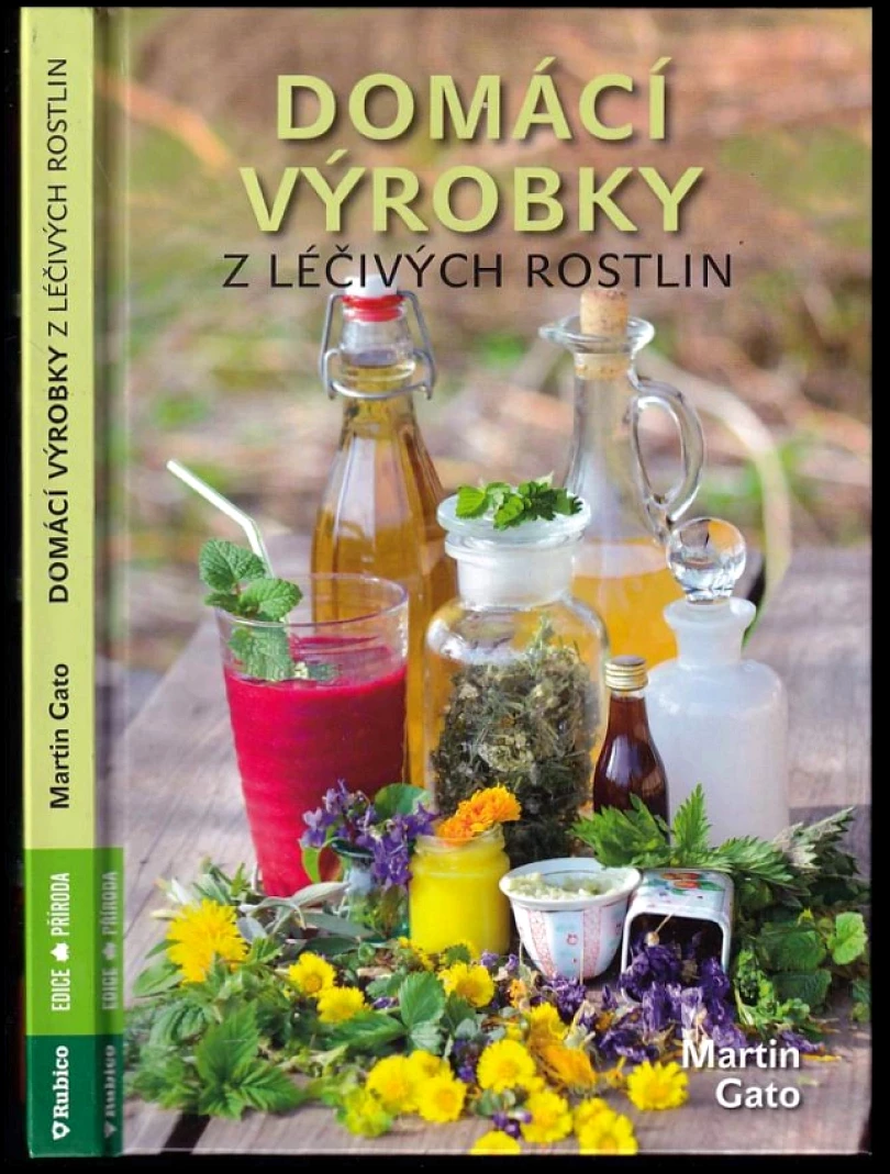 Levně Domácí výrobky z léčivých rostlin (Martin Gato, 2017)