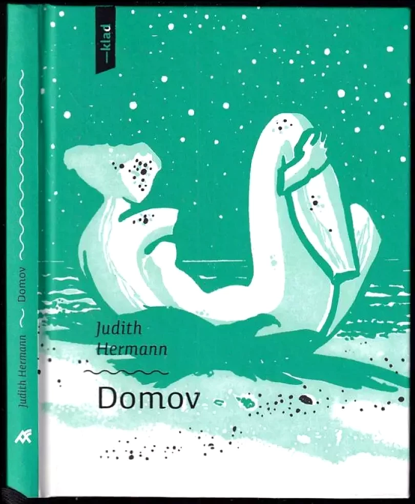 Levně Domov (Judith Hermann, 2021)