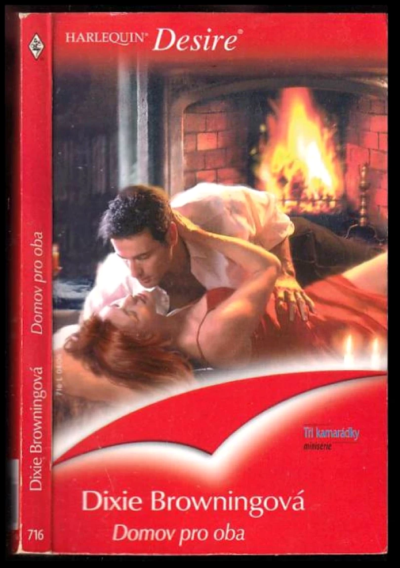 Levně Domov pro oba (Dixie Browning, 2006)