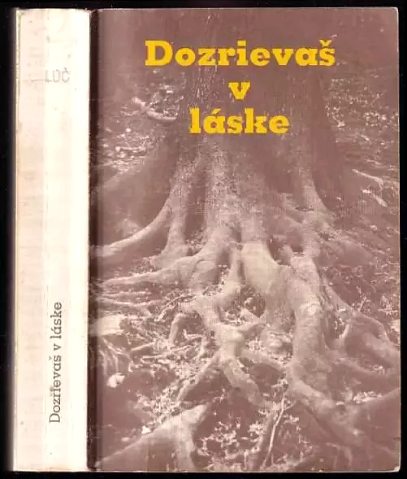 Dozrievaš v láske (, 1990)
