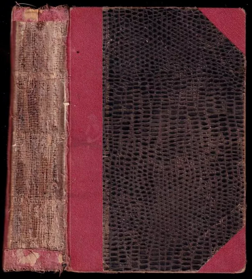 Levně Drakula (Bram Stoker, 1919)