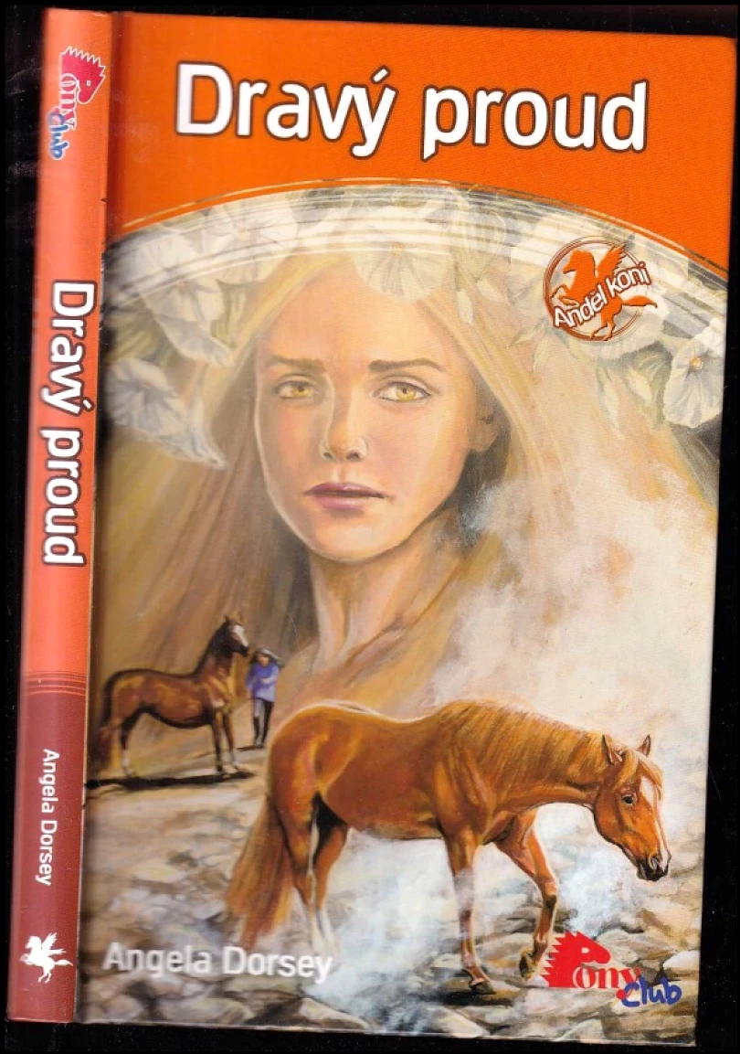 Levně Dravý proud (Angela Dorsey, 2007)